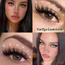 Manga Lash Clusters with Spikes Bunny Wispy Eyelash Clusters with Bottom Lashes 10-16MM Anime Cluster Eyelash Extensions Thin Band Fairy Individual Lashes CD Curl Spiky Lash Extensions Daily Wear