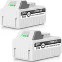 KUNLUN 2Pack 6.0Ah 24V Lithium-Ion Battery for Snow Joe & Sun Joe Power Tools, White, 24VBAT2P