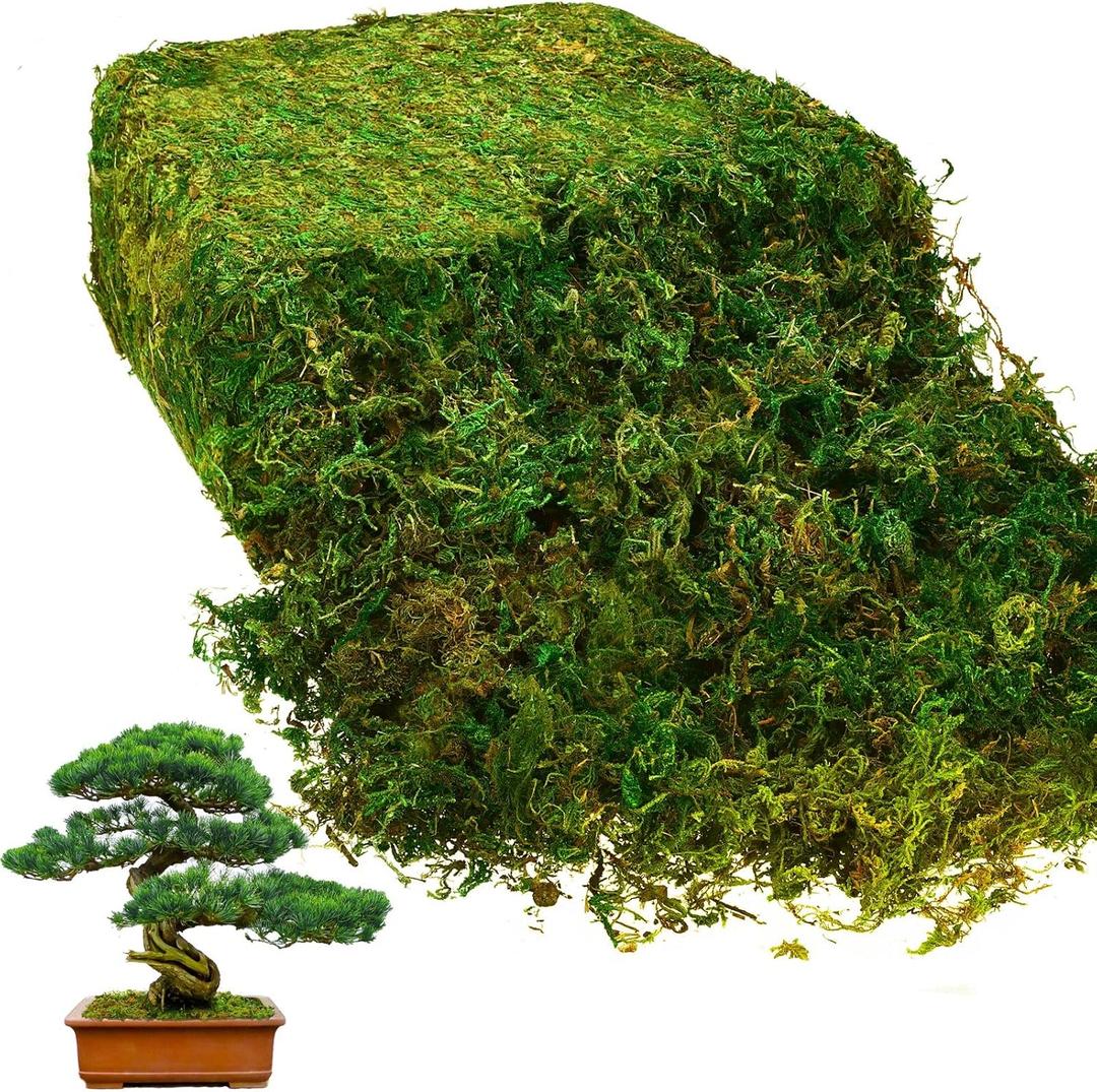 Giegxin 28oz Natural Green Sheet Preserved Moss Terrarium Green Moss Decor for Plant Crafts Flower Grass Floral for Garden Lawn Crafts Wedding Decor Flower Filler