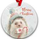 2 x Hedgehog Christmas Ornament - Animal Lover Xmas Tree Decoration, Cute Animal Themed Decor - Winter Christmas Decoration, Xmas Gift Ideas, Holiday Keepsake Gift for Hedgehog Lovers & Family