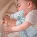 Pro Goleem Teddy Bear Lovey Baby Security Blanket for Boys and Girls Unisex Soft Lovie Baby Gifts for Newborn Toddler Snuggle Toy Stuffed Animal Blue 16 Inch