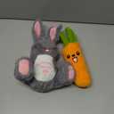 Bunny & Carrot Squeaky Dog Toy 2-Pack, Stuffed Crinkle Plush Toys for Small Dogs and Puppies, Gentle Chewer Indoor Play