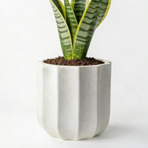 10 Inch Plant Pot Ceramic Planter with Drainage Hole & Removable Drain Plug, Decorative Flower Pot for Indoor Outdoor Plants, Modern Round Large Planter, Cream White
