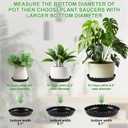 12 Packs Wave Plant Saucer - Plastic Flower Pot Drip Trays/Durable Heavy Duty Black Plant Tray for Indoor and Out Door Plant(6/8/10 inch)