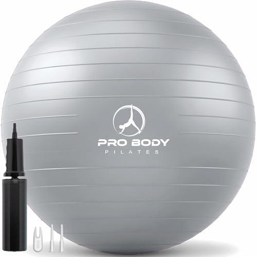 ProBody Pilates Exercise Ball - Multiple Sizes Gym Grade Balance Ball for Fitness, Workout, Pregnancy & Physical Therapy, Stability Yoga Ball Chair (Silver, 65 cm)