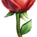 7PCS Run for the Roses Horse Balloon/Kentucky Derby Day Party Decor with Horse Rose Bouquet Gold Horseshoe/Equestrian Race Birthday Party/Girls' Horseback Riding Theme Party/Afternoon Tea Party