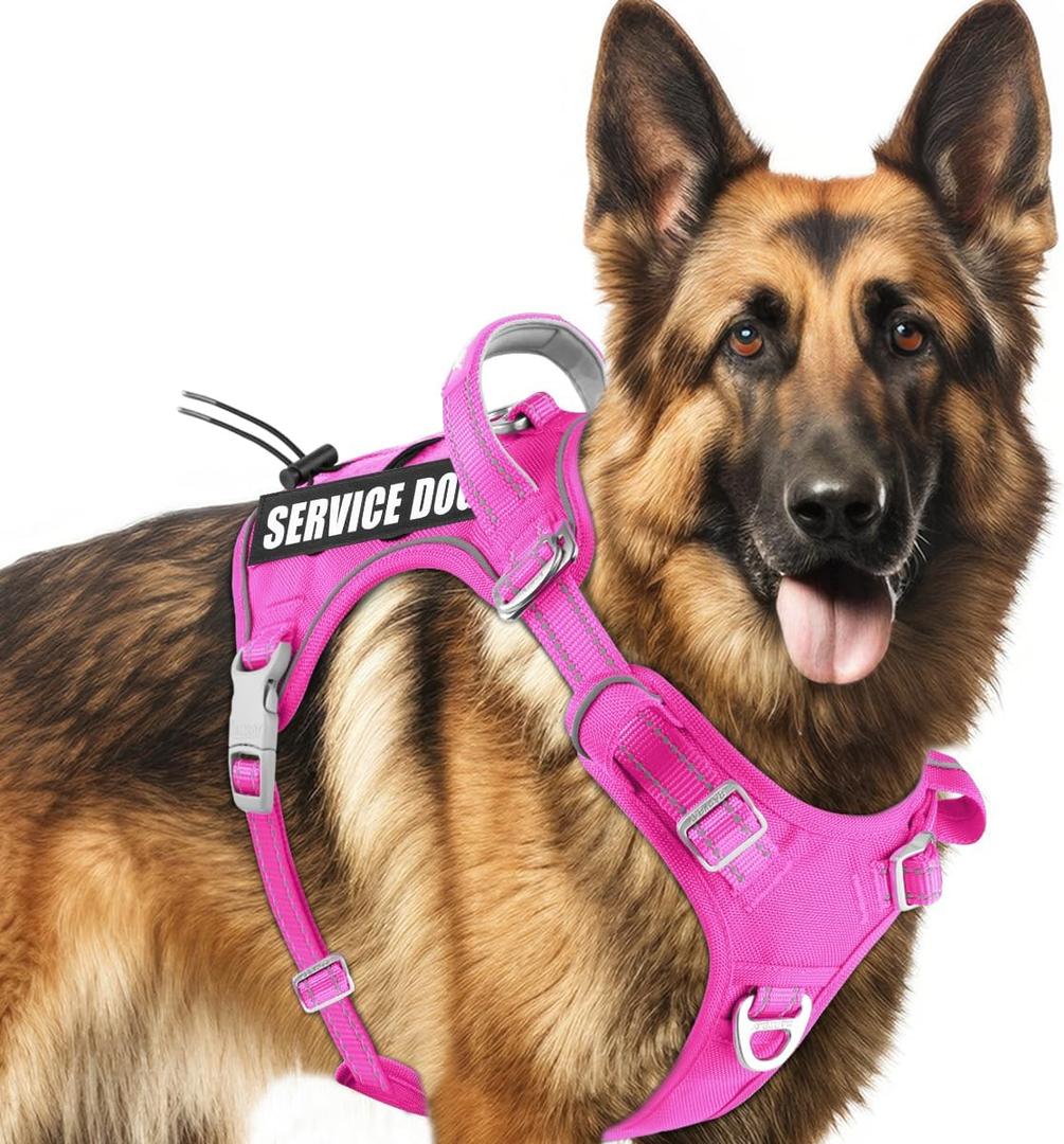 BARKBAY Service Dog Vest Tactical Dog Harness Medium Large Sized Dog Tags Personalized No Pull Adjustable Harness Reflective K9 Working Training Easy Control Military Molle System (Pink,L)