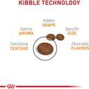 ROYAL CANIN Feline Care Nutrition Hair & Skin Care Adult Dry Cat Food, 6 lbs, Best Before: 04/DEC/2025