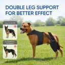 Dog Knee Brace for Torn ACL Hind Legs with Vest, Adjustable Dog Leg Brace with 4 Stabilizers, Hip Support to Reduce Pain, CCL Tear Recovery & Arthritis Ligament Injuries & Luxating Patella (XX-Large)