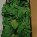 Felice Arts 12 Pack Green Artificial Roses Emerald Green Flowers with Stems Silk Roses Fake Flowers Bouquet for Christmas St Patricks Day Wedding Centerpiece Table Vase Home Kitchen Party DIY Decor