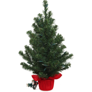 2' Northern Spruce Tree with Red Cloth Base