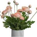 GLSATEMAN Artificial Silk Flowers Ranunculus Fake Flower 5 Pcs,Suitable for Core Decorations,Weddings,Homes,Artistic Decorations and Props (Cream Yellow)