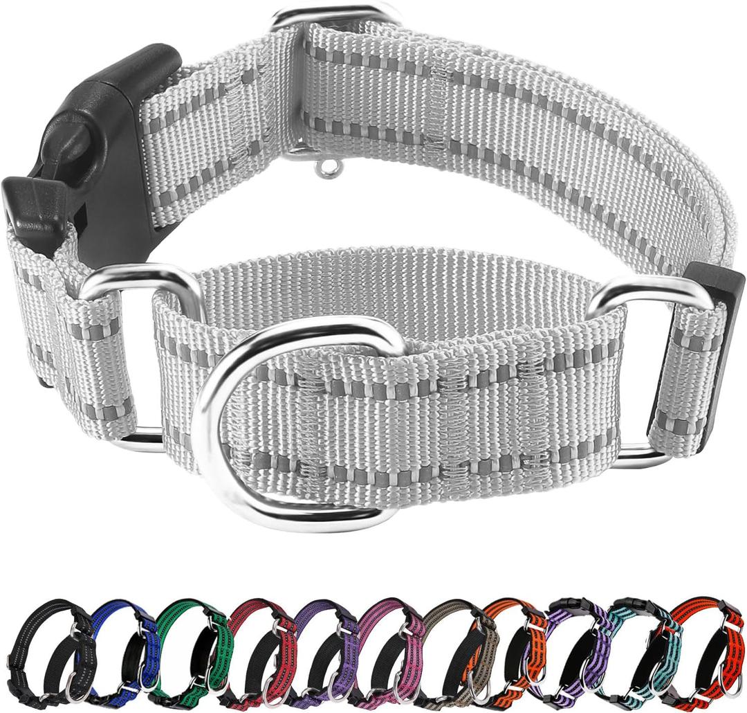 Hikiko Reflective Martingale Dog Collars with Buckle Nylon Adjustable No Slip Training Pet Collar (Medium, Sliver Grey)
