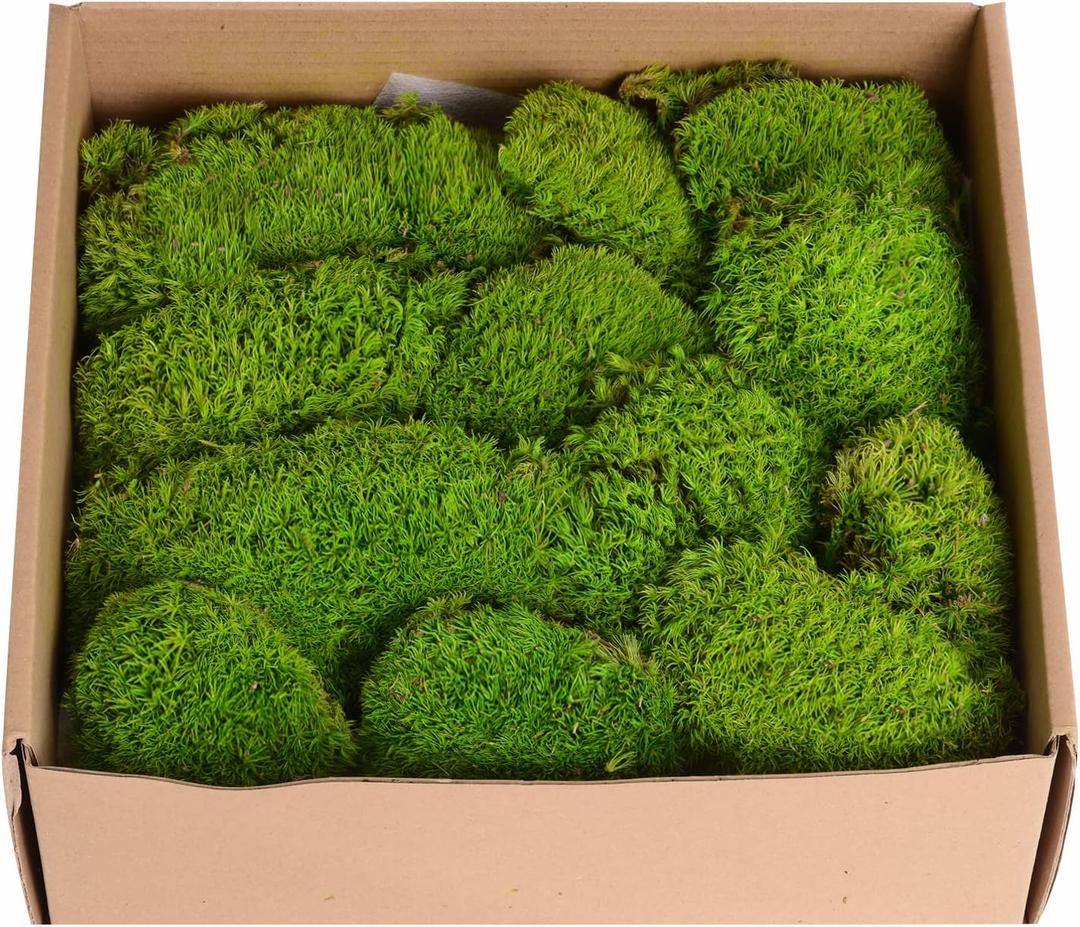 1.5 Sq. Ft. Preserved Moss Pole Decorative Moss for Crafts, Art, Wall Decor,Yellow Green Moss