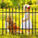 Metal Garden Fence Panels 36" H x 11.6 Ft L, 5 Pack No Digging Decorative Garden Border Fence, Rust-Resistant Black Landscape Edging for Flower Beds, Yard, Patio