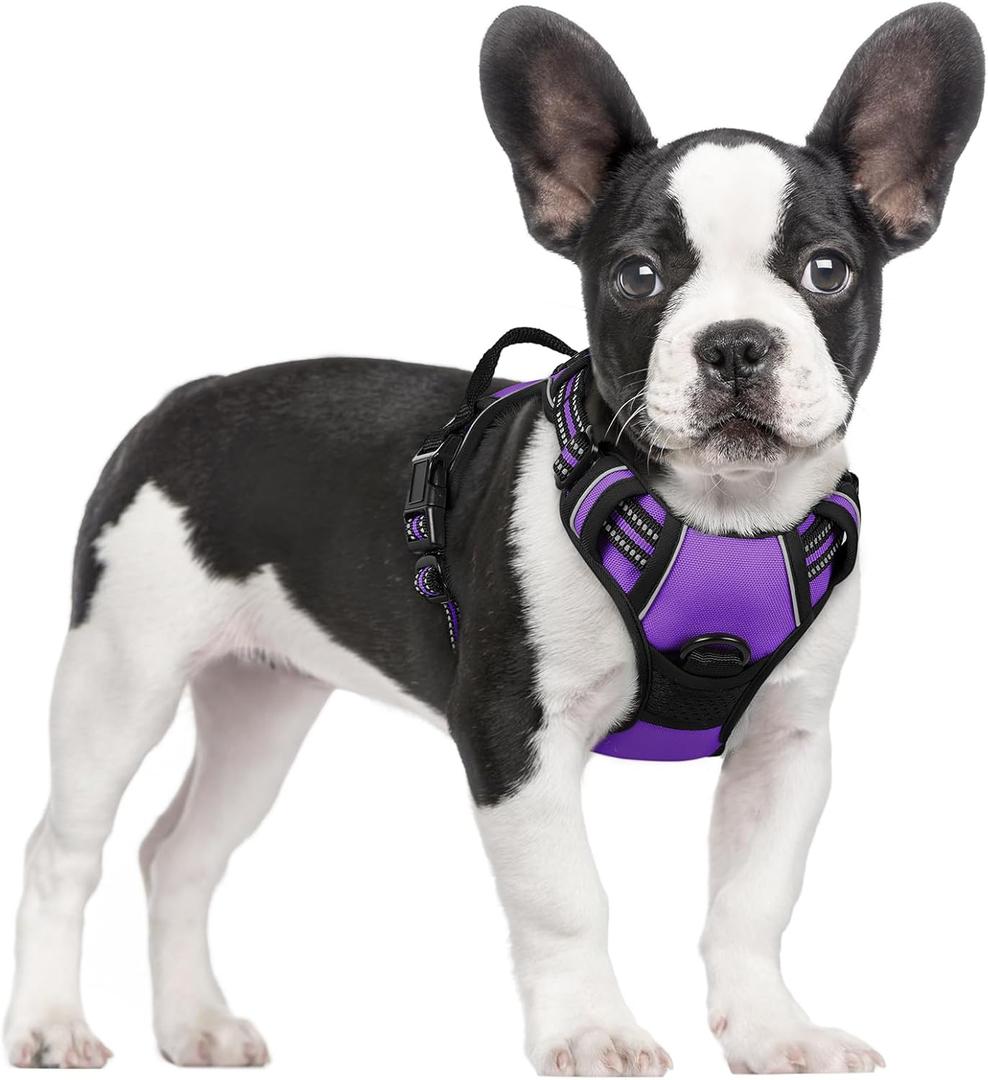 rabbitgoo Dog Harness No Pull with 2 Leash Clips, Adjustable Soft Padded, Reflective Oxford No Choke Pet Vest with Easy Control Handle for Dogs, Purple, Small