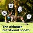 ZIWI Peak Canned Wet Dog Food  All Natural, High Protein, Grain Free, Limited Ingredient, with Superfoods (Mackerel & Lamb, Case of 12, 13.75oz Cans) (EXP 08/07/28)