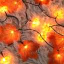Halloween Lights with Timer for Thanksgiving Decorations: Battery Pumpkin Maple Leaf String Fairy Lights with Romote - 13ft 40 Led Orange Lights for Halloween Autumn Fall Harvest Outdoor Garland Decor