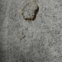 Area Rugs 9x12 Living Room: Floral Washable Rug Vintage Large Soft Boho Non-Slip Carpet Indoor Floor Stain Resistant Low Pile Carpets for Bedroom Dining Room Farmhouse Nursery Home Office Dark Beige