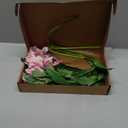 3Pcs Artificial Peruvian Lily Flowers Branches 30.7In Fake Silk Azalea Long Stem Alstroemeria Flower for Wedding Home Party Decoration (Pink)