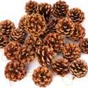 Lescli 24 Pcs Big Size Natural Pine Cones with Strings, 2"-3.5" Rustic Pinecones Bulk Christmas Hanging Ornaments for Xmas Tree Decoration, DIY Crafts, Holiday, Wedding, Party
