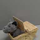 Rubies The Wizard of Oz: Toto in a Basket Costume Accessory for Kids or Adults, Unisex No Size