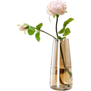 FANTESTICRYAN Modern Glass Vase Irised Crystal Clear Glass Vase for Home Office Decor (Crystal Amber) (8.7x 2.5)