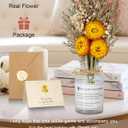 Preserved Flowers - Real Sunflower Gifts from Son Daughter for Mom, Birthday Gifts for Women, Teacher Appreciation, Dried Flowers for Decoration, Christmas