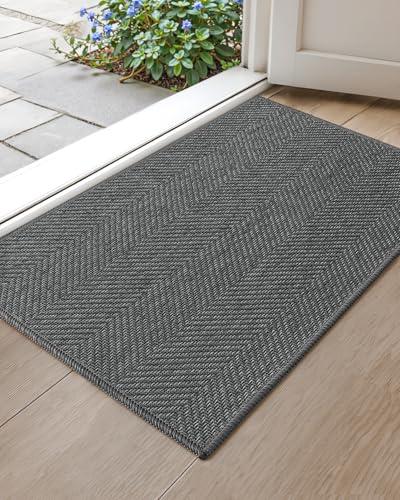 Color&Geometry Small Ultra Thin Indoor Door Mat 17"x30", Machine Washable Front Door Mat Non Slip, Low Profile Entrance Mat Indoor, Absorbent Carpet for Inside, Entry, Entryway, Dark Grey (FOLD)