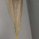 STOBAZA 3sets Dried Flower Arrangement Preserved Floral Decor for Home Wedding and Rustic Table Centerpieces Natural Touch Eucalyptus and Flowers Box