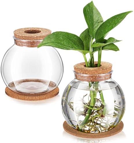 Baderke 2 Packs Propagation Vases for Plants Plastic Plant Propagation Station with Hole Lid and Cork Coasters Plant Growing in Water Hydroponic Home Office Table Decoration (Fish Bowl Style)