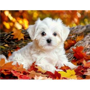 MaiYiYi Full Square Diamond Painting Kits, Cute White Dog Diamond Painting by Numbers for Adults, Crystal Maple Leaf Dog Diamond Painting Arts Crafts for Adult Beginners (11.8 x 15.7 inches)