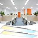 1x4 LED Flat Panel Light 2Pack 5CCT Selectable, 0-10V Dimmable, 1 Feet by 4 Feet