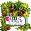 Succulents Plants Artificial 28 Pcs Realistic Premium Fake Succulents Faux for Indoor Outdoor UV Resistant DIY Home Office Decor