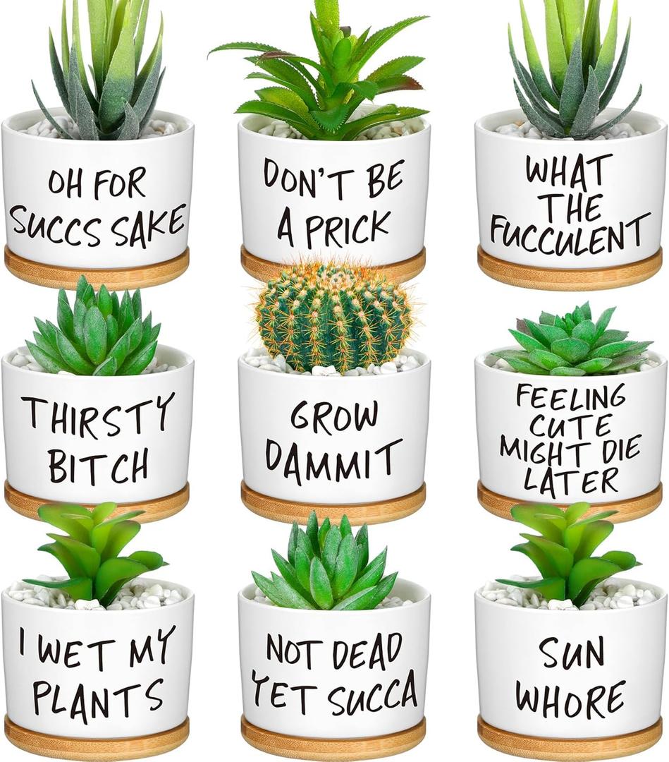 Domensi 9 Pcs Funny Succulent Pots Cute Aloe Cactus Planter with Bamboo Tray Ceramic Accessories White Mini Flower Drainage Tray Pots Indoor Outdoor Plants Birthday Gifts Housewarming Women Coworker