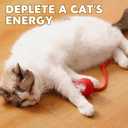 Chewie Viral 360 Smart Automatic Rolling Pet Ball (3 PCS) - Interactive Dog & Cat Toy