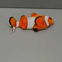 Potaroma Cat Toys Flopping Fish with SilverVine and Catnip, Moving Kitten Kicker, Floppy Wiggle Clownfish for Small Dogs, Motion Kitty Interactive Exercise, 10.5 Inches