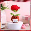 2 x Chunful Valentines Day Crochet Gift for Wife Romantic Handmade Crochet Rose Flower for Her Love Forever Gift for Valentines Day Wedding Anniversary Birthday