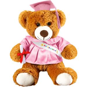Foilswirl Graduation Bear 2026 with Gown Cap Tassel 9 Pink Graduation Stuffed Animal Plush Bear Toy for Class of 2026 Prek Preschool Kindergarten High School College Graduate Gift