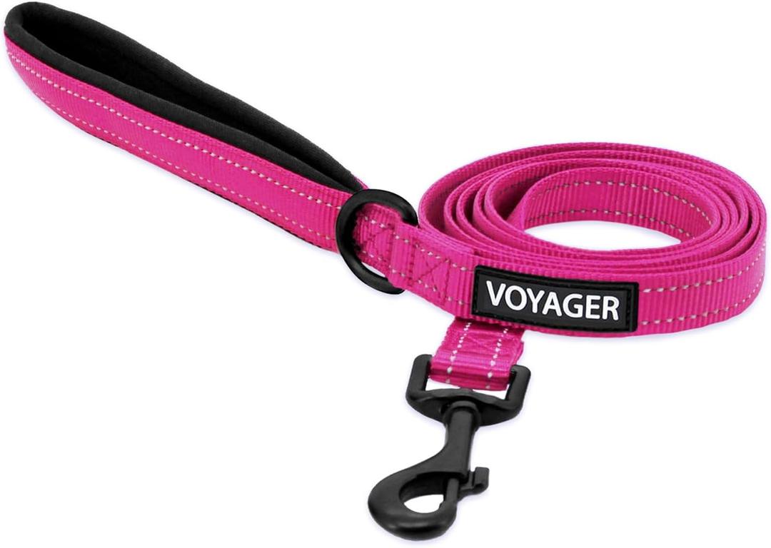 Best Pet Supplies Voyager Reflective Dog Leash or Collar with Neoprene Handle, for Small, Medium, and Large Breed Puppies, Cute and Heavy Duty for Walking, Running and Training - Fuchsia Leash, L (Leash (1" x 6 ft))