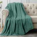 Utopia Bedding Fleece Blanket Throw Size Celadon 300GSM Luxury Anti-Static Fuzzy Soft Microfiber Blanket for Couch, Sofa and Bed (60x50 Inch) (Throw (50x60 Inch), Celadon)