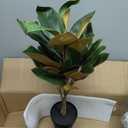 Briful Artificial Magnolia Tree in Black Pot  26.3in Tall Faux Magnolia Greenery Plant Fake Potted Silk Tree for Home Office Room Kitchen Outdoor Porch Dcor