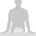 Winco PSBW-1W Shell Bowls, 22 Ounce, Medium, White, 20 Ounce