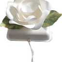 Biodegradable Urn Eco Burial Urns Biodegradable Water Urns Cremation Ocean Scattering Floating Urn for Human Ashes (M)