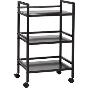 Amazon Basics 3-Tier Metal Rolling Utility Cart, Storage Organizer, Multifunctional Storage, Mobile Shelving, Black