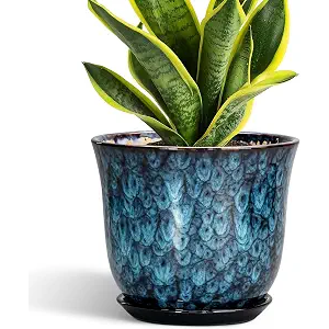 8 Inch Plant Pot - Ceramic Planter for Indoor Outdoor, Round Planter with Drainage Hole and Saucer, Modern Planters, Flower Pots, Apartment Porch Room Home Decor, Gardening Gifts, Blue