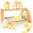 Mini Chick Perch with Mirror, Strong Bamboo Roosting Bar for coop and brooder, Training Perch for Baby Chicks, El Pollitos, La Pollita, Easy to Assemble and Clean, Fun Toys for Chick