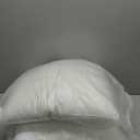 MIULEE Throw Pillows Inserts, Pack of 2 18x18 Inch 100% Virgin Fiber Filling Bed Couch Pillows