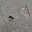 INC Womens Rajel Knee-High Boots, 6 Size