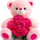 BEJOY Teddy Bear Stuffed Animals Plush Bear Holding Rose Soft Plush Toy Gifts 16 inches Pink